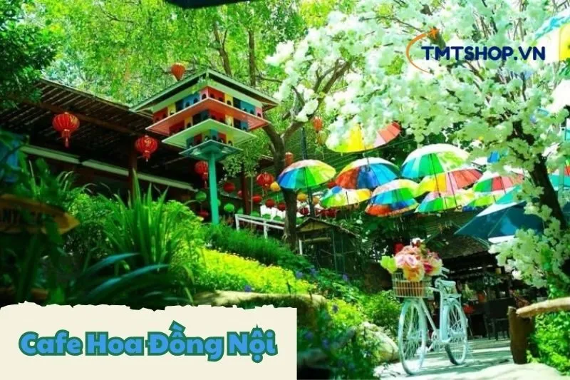 Cafe Hoa Đồng Nội