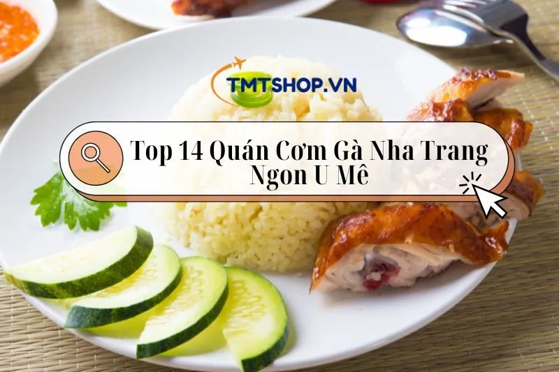 Khám Phá Top 14 Quán Cơm Gà Nha Trang Ngon Nổi Tiếng Và Giá Hợp Lý