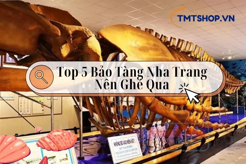 Khám Phá Top 5 Bảo Tàng Nha Trang: Địa Điểm Văn Hóa Và Lịch Sử Không Thể Bỏ Lỡ