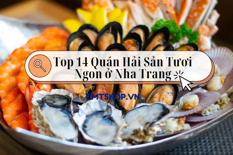 Top 14 Quán Hải Sản Nha Trang Tươi Ngon Với View Đẹp Không Thể Bỏ Qua