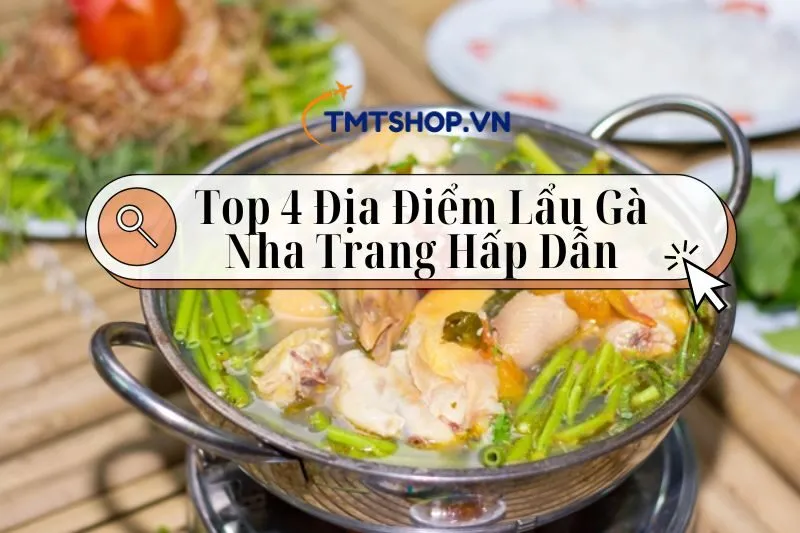 Top 4 Địa Điểm Lẩu Gà Nha Trang Hấp Dẫn Nhất Không Nên Bỏ Lỡ