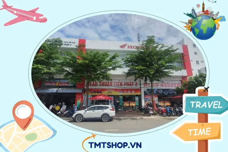 Hệ Thống HEAD Thuận Tiến Phát