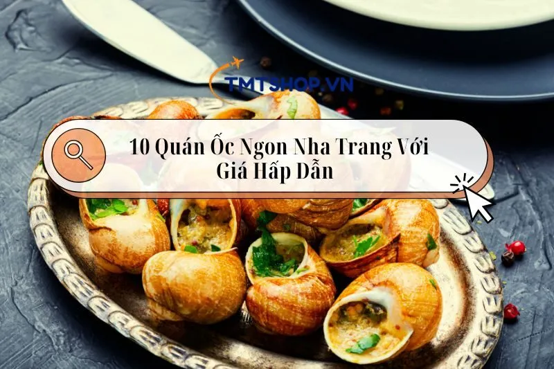 Khám Phá Top 10 Quán Ốc Ngon Nha Trang Với Giá Hấp Dẫn 2025